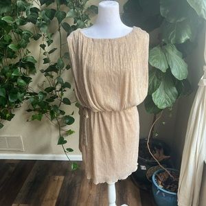 ENFOCUS PETITE Silver and Gold Waist Tie Mini Dress | 12P